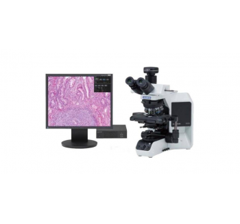 奧林巴斯BX43生物顯微鏡